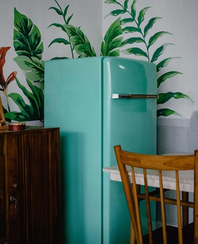 Fridge Cleaning Single Door